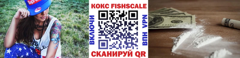 Кокаин FishScale  продажа наркотиков  Юрьевец 