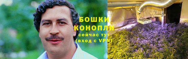 сатива Богородицк