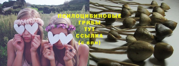 скорость Богданович