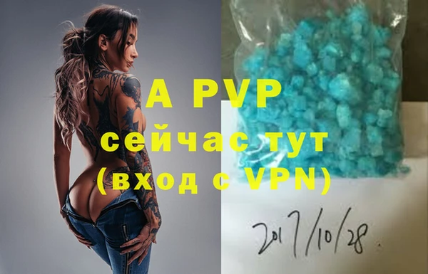 сатива Богородицк