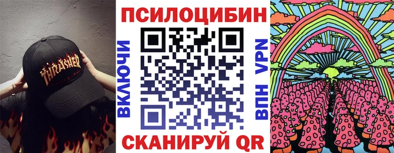 наркота  Юрьевец  Псилоцибиновые грибы Psilocybine cubensis 